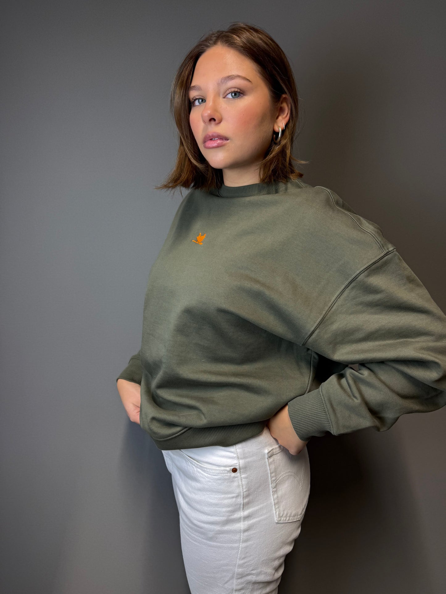 Oversize Sweatshirt "Orange Zaunkönig" - Stick